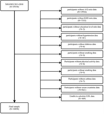 Association between body fat distribution and kidney stones: Evidence from a US population